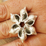 whelk flower ring