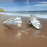 mussel stud earrings
