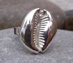 silver cowrie ring