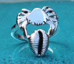crab and cowrie ring